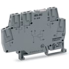 WAGO ELETTRONICA - Modulo relè.Tensione nominale di ingresso: 24 V DC.1 contatto in scambio.grigio
