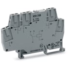 WAGO ELETTRONICA - Modulo relè.Tensione nominale di ingresso: 24 V DC.1 contatto in scambio.grigio