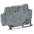 WAGO ELETTRONICA - Modulo optoaccoppiatore.Tensione nominale di ingresso: 24 V DC.Limite corrente permanente: 0,5 A.grigio