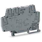 WAGO ELETTRONICA - Modulo optoaccoppiatore.Tensione nominale di ingresso: 24 V DC.Intervallo tensione d'uscita: da 0 a 24 V DC.grigio