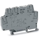 WAGO ELETTRONICA - Modulo optoaccoppiatore.Tensione nominale di ingresso: 12 V DC.Intervallo tensione d'uscita: da 3 a 30 V DC.grigio