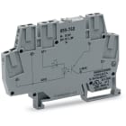 WAGO ELETTRONICA - Modulo optoaccoppiatore.Tensione nominale di ingresso: 24 V DC.Intervallo tensione d'uscita: da 3 a 30 V DC.grigio