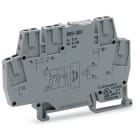 WAGO ELETTRONICA - Modulo optoaccoppiatore.Tensione nominale di ingresso: 5 V DC.Intervallo tensione d'uscita: da 24 a 260 V AC.grigio