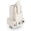 Miniatura Immagine principale 1