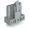 Miniatura Immagine principale 1
