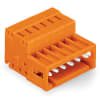 Miniatura Immagine principale 3