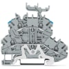 Miniatura Immagine rappresentativa 1