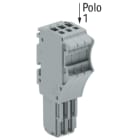 WAGO ELETTRONICA - Spina femmina per 1 conduttore.Push-in CAGE CLAMP®.1,5 mm².grigio