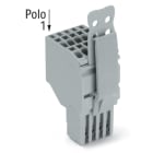 WAGO ELETTRONICA - Connettore femmina per 2 conduttori.Push-in CAGE CLAMP®.1,5 mm².grigio
