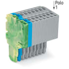 WAGO ELETTRONICA - Connettore femmina per 2 conduttori.Push-in CAGE CLAMP®.1,5 mm².giallo-verde/blu/grigio