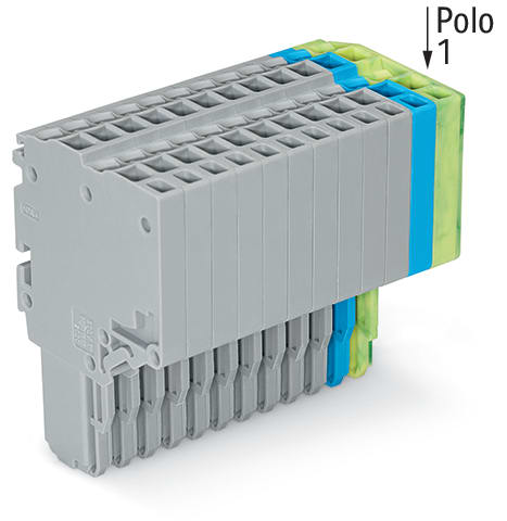 WAGO ELETTRONICA - Connettore femmina per 2 conduttori.Push-in CAGE CLAMP®.1,5 mm².grigio, blu, giallo-verde