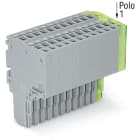 WAGO ELETTRONICA - Connettore femmina per 2 conduttori.Push-in CAGE CLAMP®.1,5 mm².grigio, giallo-verde