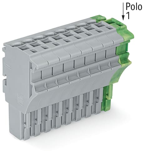 WAGO ELETTRONICA - Spina femmina per 1 conduttore.Push-in CAGE CLAMP®.4 mm².grigio, giallo-verde