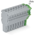 WAGO ELETTRONICA - Spina femmina per 1 conduttore.Push-in CAGE CLAMP®.4 mm².grigio, giallo-verde