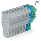 WAGO ELETTRONICA - Spina femmina per 1 conduttore.Push-in CAGE CLAMP®.4 mm².grigio, blu, giallo-verde
