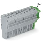 WAGO ELETTRONICA - Spina femmina per 1 conduttore.Push-in CAGE CLAMP®.4 mm².grigio, giallo-verde