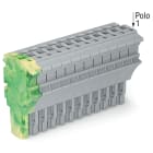 WAGO ELETTRONICA - Spina femmina per 1 conduttore.Push-in CAGE CLAMP®.4 mm².giallo-verde/grigio