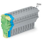 WAGO ELETTRONICA - Spina femmina per 1 conduttore.Push-in CAGE CLAMP®.4 mm².giallo-verde/blu/grigio