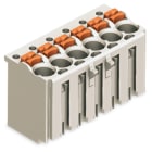 WAGO ELETTRONICA - Spina femmina per 1 conduttore.pulsante.Push-in CAGE CLAMP®.grigio chiaro