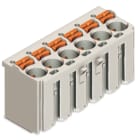 WAGO ELETTRONICA - Spina femmina per 1 conduttore.pulsante.Push-in CAGE CLAMP®.grigio chiaro