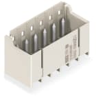 WAGO ELETTRONICA - Connettore maschio THT.Pin a saldare Ø 1,4 mm.dritto.grigio chiaro 2092-1404