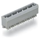WAGO ELETTRONICA - Connettore maschio THT.Pin a saldare 1,0 x 1,0 mm.dritto.grigio 231-243/001-000