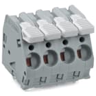 WAGO ELETTRONICA - Morsetto per circuito stampato.leva.6 mm².grigio