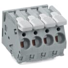 WAGO ELETTRONICA - Morsetto per circuito stampato.leva.6 mm².grigio