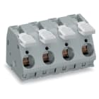 WAGO ELETTRONICA - Morsetto per circuito stampato.leva.16 mm².grigio