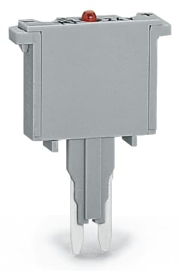 WAGO ELETTRONICA - Spina fusibilata.con fusibile miniaturizzato saldato.con spia luminosa.grigio