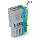 WAGO ELETTRONICA - Spina femmina per 1 conduttore.CAGE CLAMP®.4 mm².grigio, giallo-verde, grigio