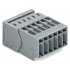 Miniatura Immagine rappresentativa 1