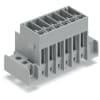 Miniatura Immagine rappresentativa 1
