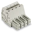 WAGO ELETTRONICA - Spina femmina per 1 conduttore.Push-in CAGE CLAMP®.10 mm².grigio chiaro
