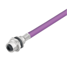 WEIDMULLER - Connettore circolare integrato Femmina M12 2 poli 2 m PG 9 0.25 mm² PUR esente da alogeni SAIE-M12B-PB-2.0U HW