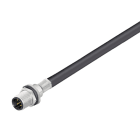 WEIDMULLER - Maschio M12 SAIE-M12S-5S2.0U HW