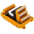 WEIDMULLER - Modulo d'interfaccia con relè, RSS, LL3R 5.08 mm, Collegamento a vite, LP 5,08 mm, 24 V AC ± 10%, 24 V DC ± 10%, 6 mA, 15,6 mA RSMS-16 24VUC AU 1CO S.