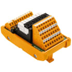 WEIDMULLER - Modulo d'interfaccia con relè, RSS, LM3RZF 5.08, molla autobloccante, LMZF, 24 V AC ± 10%, 24 V DC ± 10%, 6 mA, 15,6 mA RSMS-16 24VAC/DC 1CO Z.