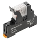 WEIDMULLER - Modulo a relè 24VAC LED rosso 1 Contatto di scambio 250VAC 10A Collegamento a vite Tasto di prova disponibile: No DRIKIT 24VAC 1CO LD.