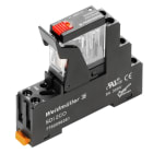 WEIDMULLER - Modulo a relè 24V AC LED rosso 1 Contatto di scambio 250V AC 10A Collegamento a vite Tasto di prova disponibile DRIKIT 24VAC 1CO LD/PB.