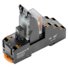 WEIDMULLER - Modulo a relè 24VDC con LED verde, diodo a corsa libera e 2 contatti di scambio (AgNi flash dorata), 250VAC 10A, PUSH IN, tasto di prova DRMKITP disponibile.