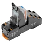 WEIDMULLER - Modulo a relè 24VDC con LED verde, diodo a corsa libera e 2 contatti di scambio (AgNi flash dorata) 250VAC 10A, PUSH IN, tasto di prova DRMKITP LD/PB.