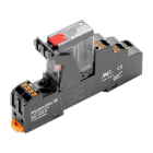 WEIDMULLER - Modulo a relè 115V AC LED rosso 1 Contatto di scambio 250V AC 10A PUSH IN Tasto di prova disponibile Sì DRIKITP115VAC 1CO LD/PB