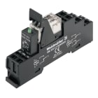 WEIDMULLER - Modulo a relè 24VDC con LED verde, diodo a corsa libera, 2 contatti di scambio (AgNi), 250VAC 8A, molla autobloccante e tasto di prova disponibile. RCLKITZ 24VDC 2CO LED.