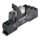 WEIDMULLER - Modulo a relè 24VDC 2 Contatto di scambio AgNi RCLKITZ LED