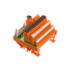 WEIDMULLER - Modulo interfaccia relè LP2N 5.08mm LL2N 5.08mm, Collegamento vite, Connettore norma IEC60603-13/DIN41651 maschio 20 poli RS 16IO 2W I-L H S.