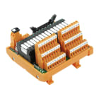 WEIDMULLER - Modulo interfaccia con relè RSS LL3R 5.08 mm, collegamento a vite, connettore norma IEC60603-13/DIN41651 maschio 20 poli 24 V DC RSM-16 PLC C SW 1CO S.