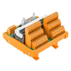 WEIDMULLER - Modulo d'interfaccia con relè, RSS, LL3R 5.08 mm, Collegamento a vite, Connettore a norma IEC60603-13 / DIN41651, Connettore maschio 20 po' RSMS-16H 24V+ 1CO S.