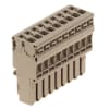 Miniatura Immagine principale 1