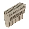 Miniatura Immagine principale 1